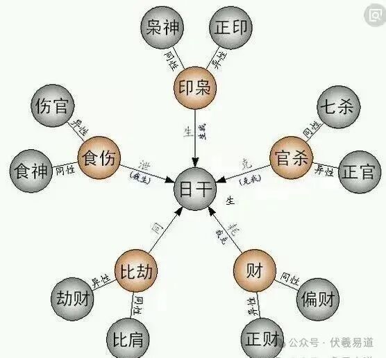 如何掌握十神的生克概念（初学者可收藏）