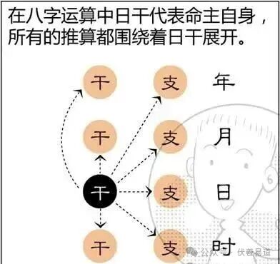 如何掌握十神的生克概念（初学者可收藏）