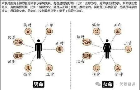 如何掌握十神的生克概念（初学者可收藏）