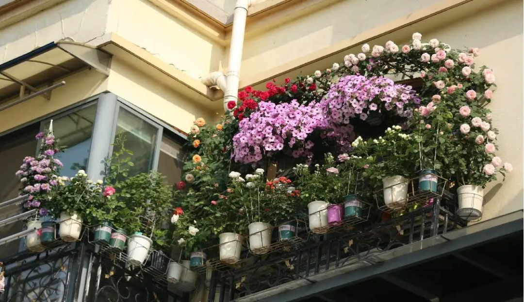 文章标题-5 小人是非不断,就用玄学击溃它!