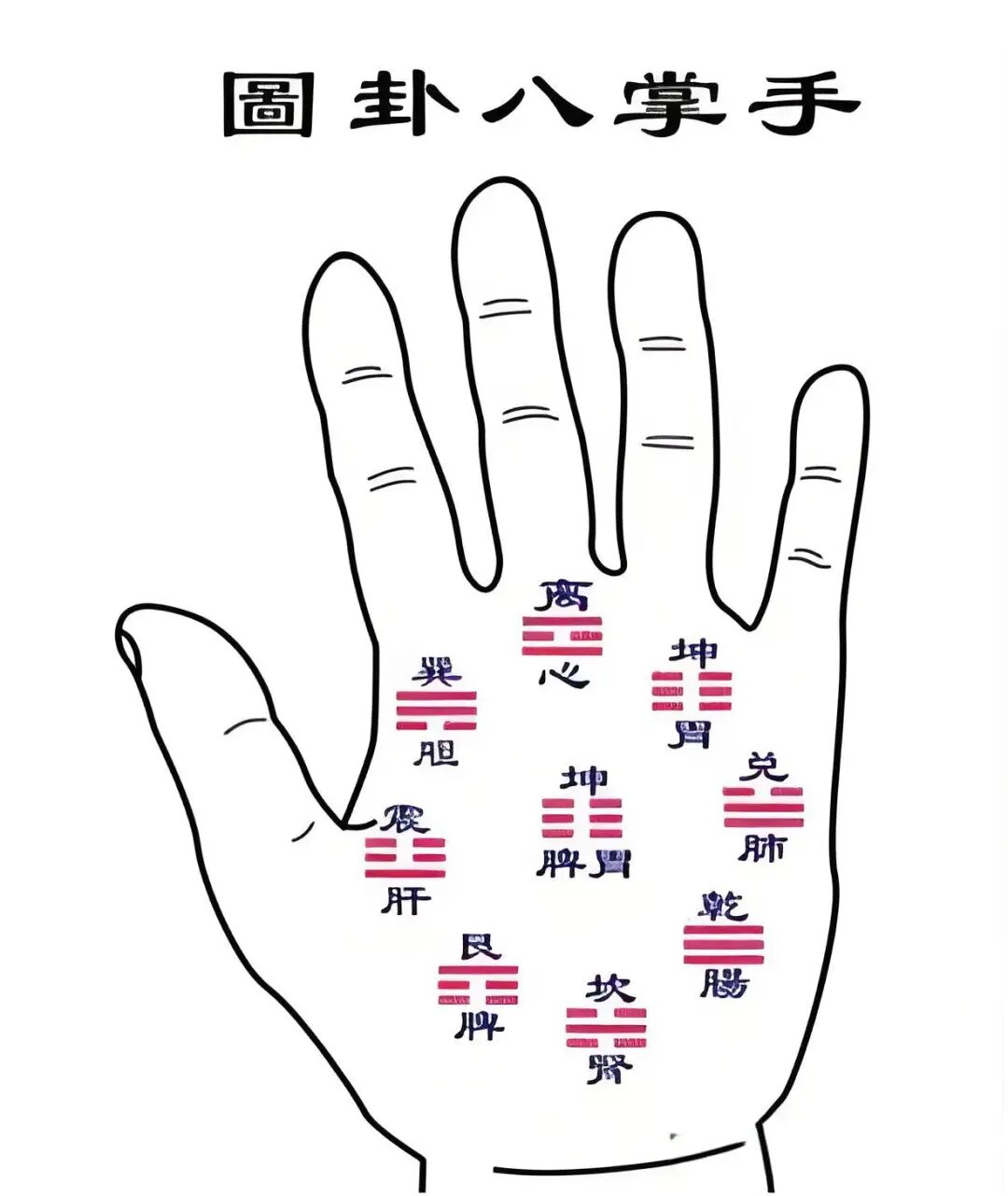 从手相上看阴阳宅