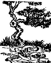 2026九宫图风水方位图解袁天罡推背全图60讲解