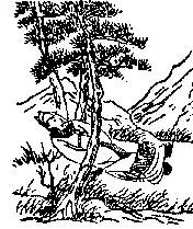 2026九宫图风水方位图解袁天罡推背全图60讲解