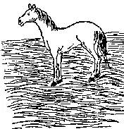 2026九宫图风水方位图解袁天罡推背全图60讲解