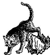 2026九宫图风水方位图解袁天罡推背全图60讲解