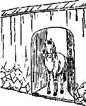 2026九宫图风水方位图解袁天罡推背全图60讲解