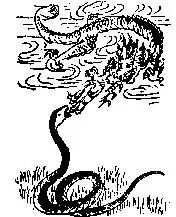 2026九宫图风水方位图解袁天罡推背全图60讲解