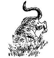 2026九宫图风水方位图解袁天罡推背全图60讲解