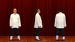 爆火的道家功法；勤练正气存内，邪不可干！