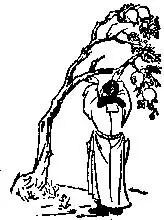 2026九宫图风水方位图解袁天罡推背全图60讲解