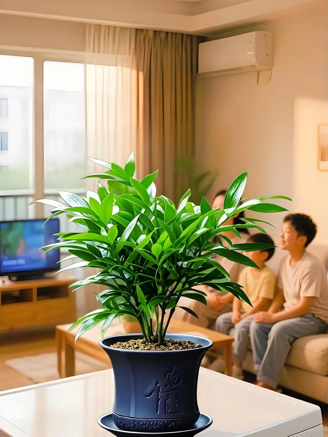 房间久不住气场乱？过年回家先做这四步！