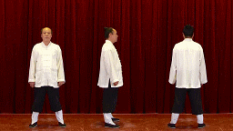 爆火的道家功法；勤练正气存内，邪不可干！