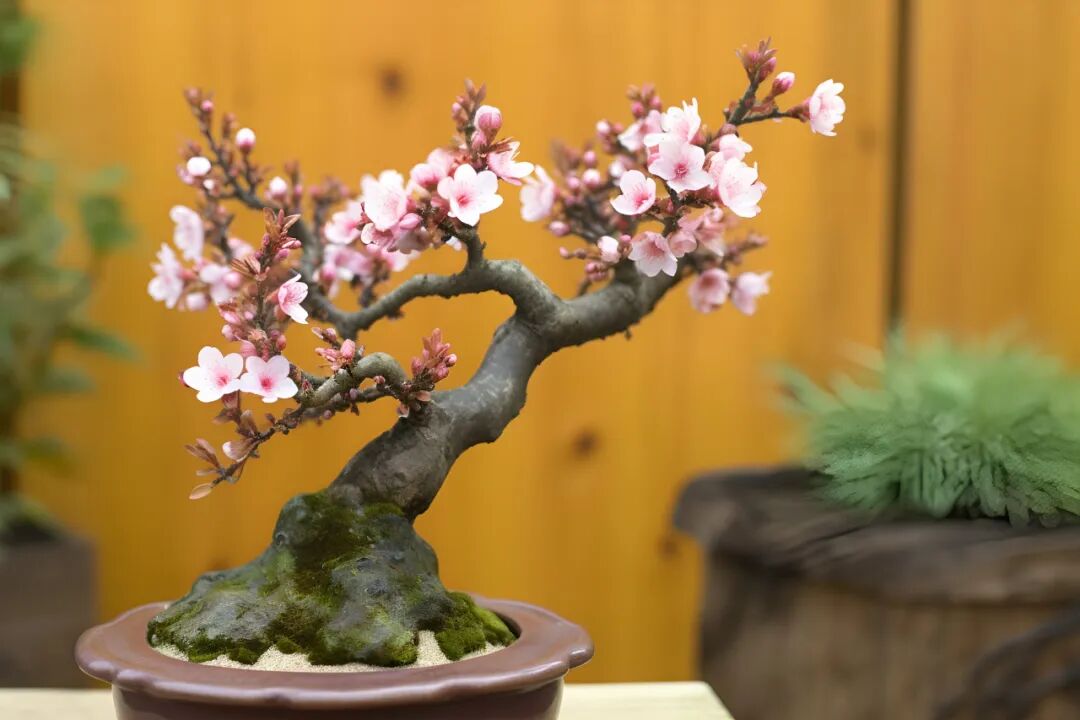 2026马年，九招助你催旺各种运势！