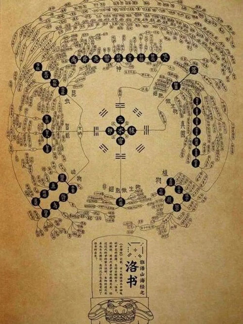 什么是河洛解析