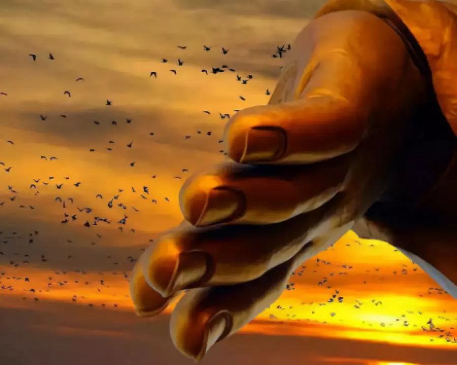 何为修行？累世的修行，究竟是为了什么？