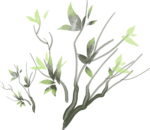 负面情绪过重怎么办？让身体接收天地正能量的洗礼