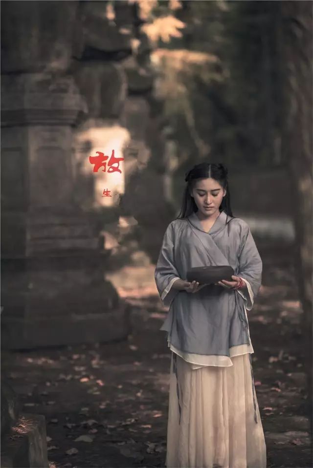 文章标题-5 六大灵性动物,不可杀,不可食!