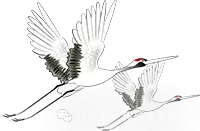 别让卫生间毁了家运！5个方法化解大门对冲难题