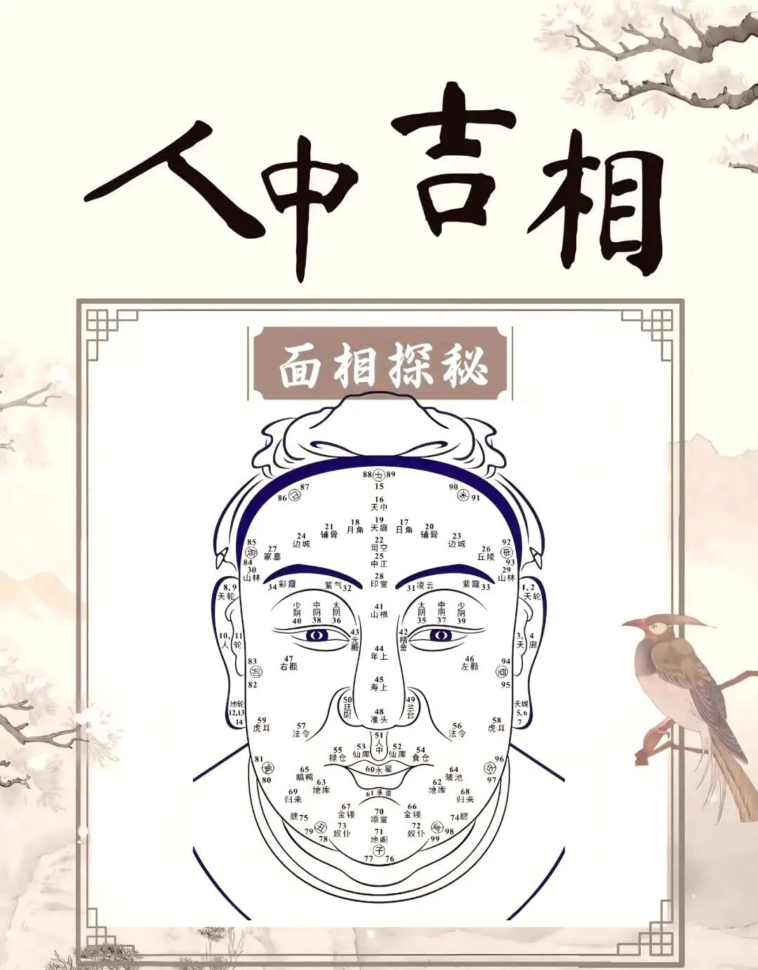 脸上出现这种纹，代表你要转运了！对照文章看看你有没有！