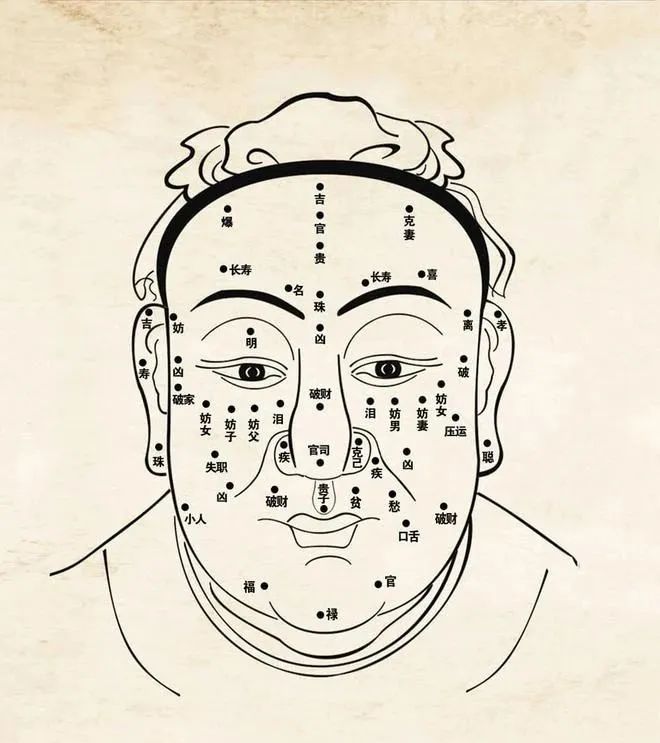 面相十二宫，富贵一眼断！