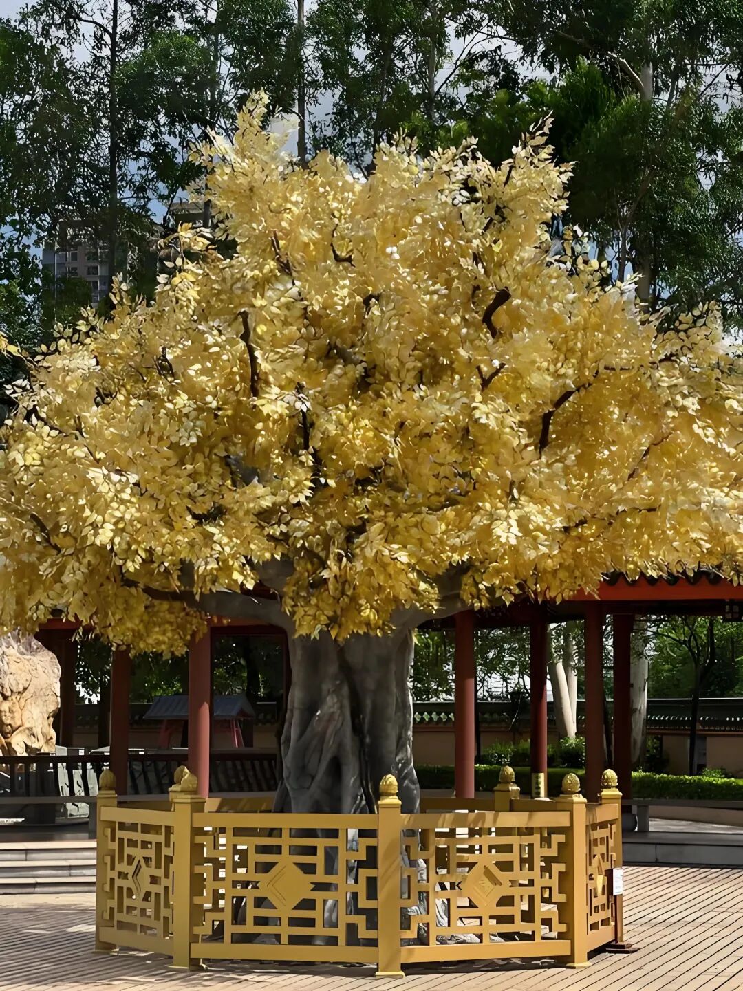 无法解释的玄学，一定要狠狠记住！