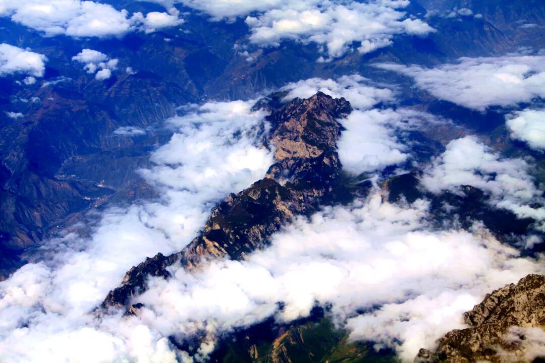 文章标题-3 《天道》:生是欲,养是德