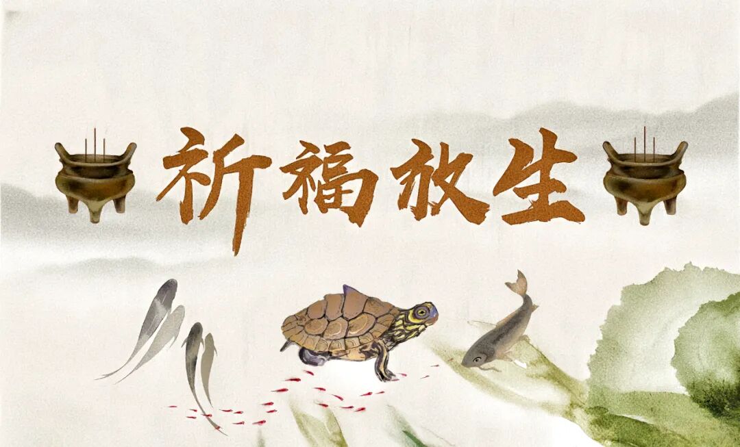 文章标题-2 放生矿泉水、放生鱼豆腐,这个世界终于癫成我看不懂的样子!