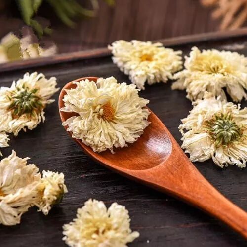 五行疾病分类用药歌（背熟了你就是名医）！