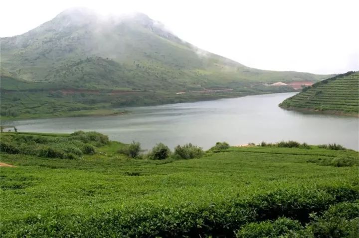 文章标题-1 祖坟风水:坟上的草可以拔吗?