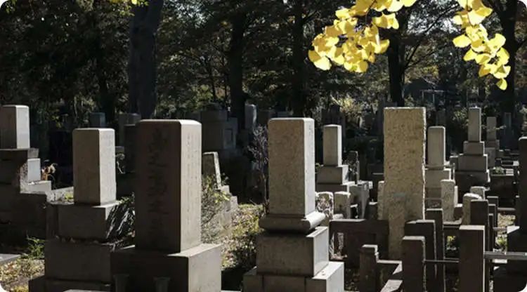 文章标题-4 午时忌讳!这些事不宜在中午做!