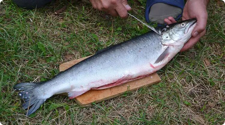 文章标题-6 午时忌讳!这些事不宜在中午做!