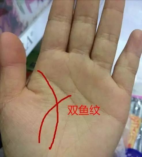 揭秘：手有元宝纹，早晚都能富！