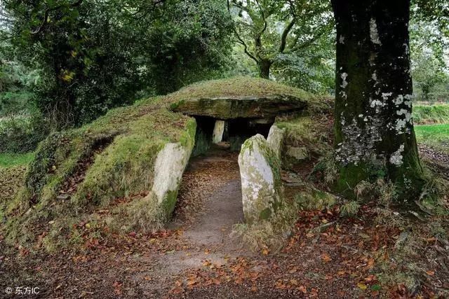 文章标题-3 祖坟风水:坟上的草可以拔吗?