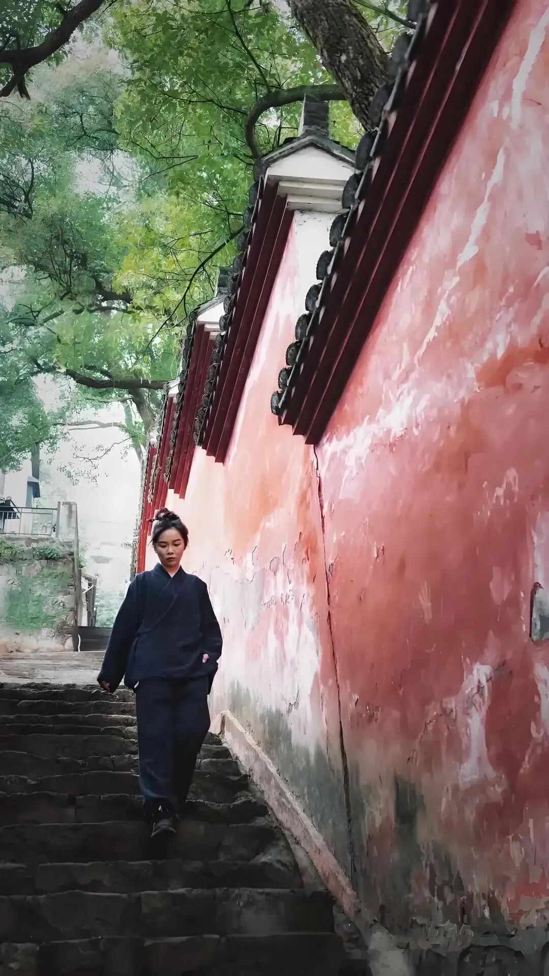 文章标题-2 如何看待“道系青年”的活法?