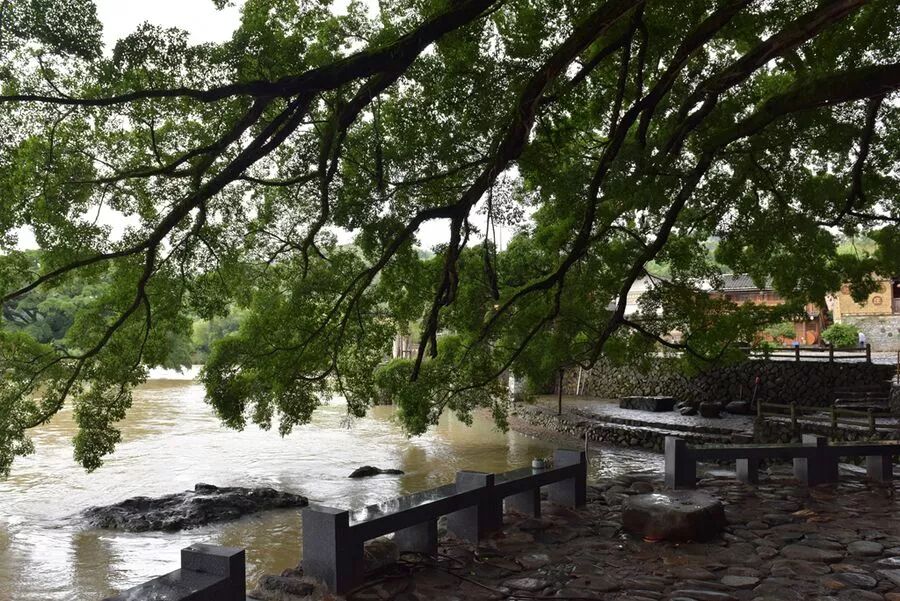 71处阴宅对应71个灾，风水爱好者收藏 !