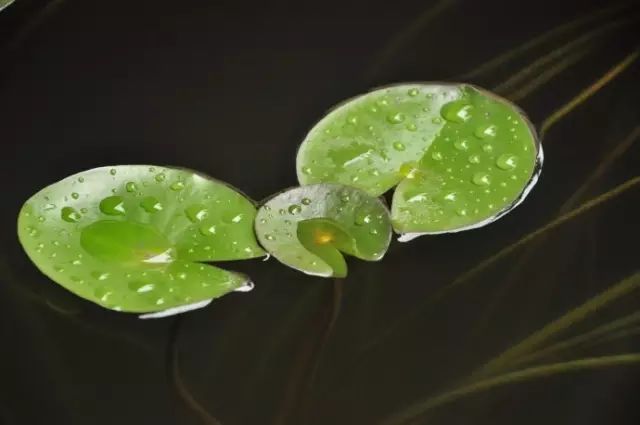 风水养人，人也养风水！