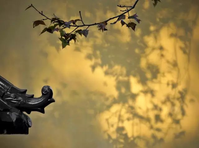 风水养人，人也养风水！