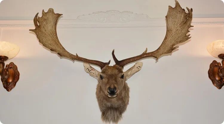 玄学提醒：家中墙上不适合挂这些物品！