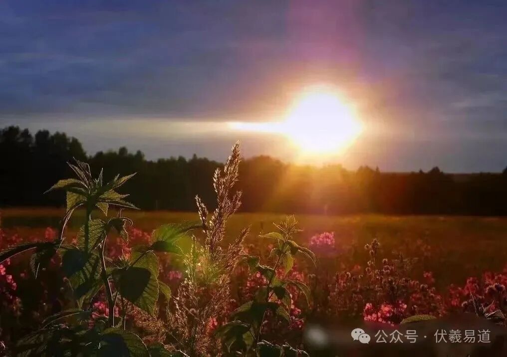 文章标题-6 光是一种生命能量;采集宇宙能量的秘密