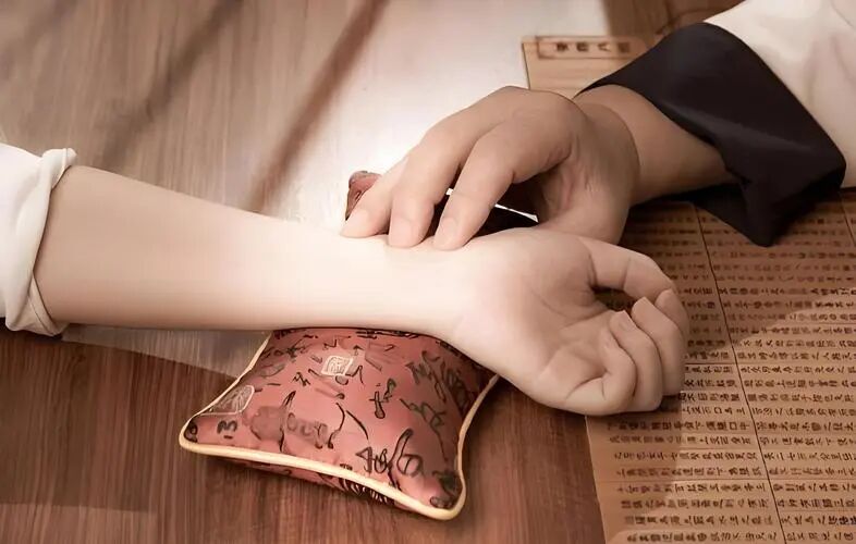 文章标题-2 学会人人都健康,中医干货一天学会号脉