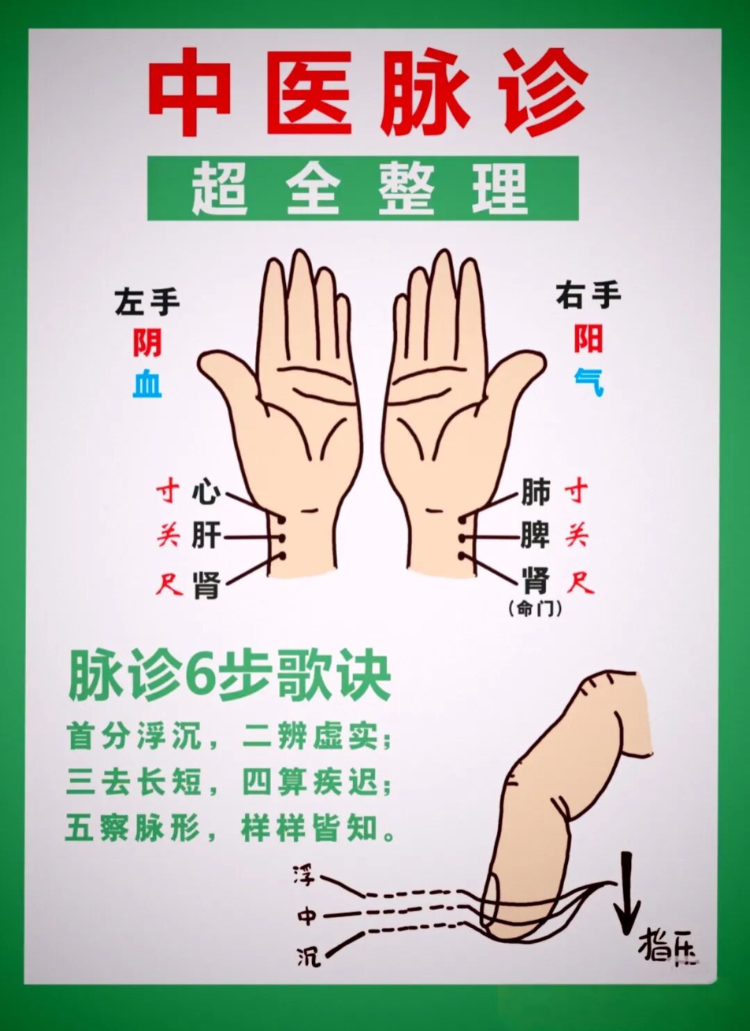 文章标题-4 学会人人都健康,中医干货一天学会号脉