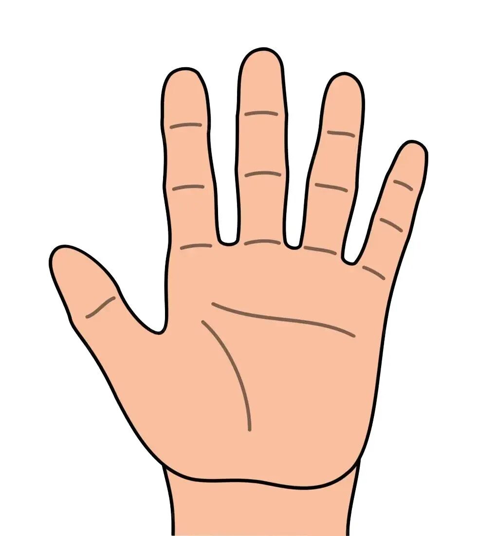 二十四节气快速记忆法（口诀掌决图）