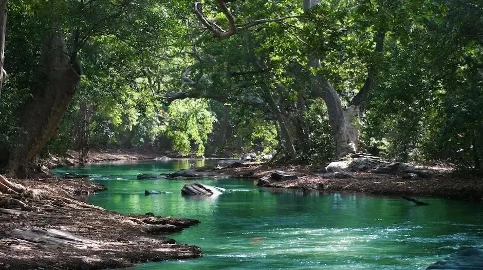 男子将父亲水葬，想不到财运旺盛，后来迁坟后家道中落