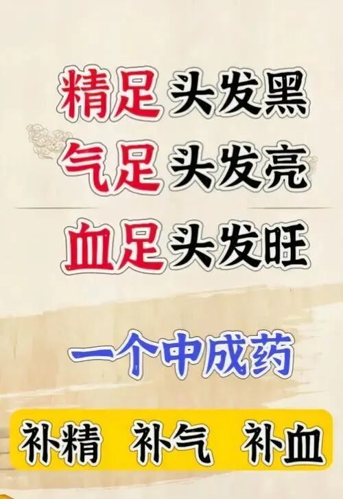 “精气血津液神”之间有何关系