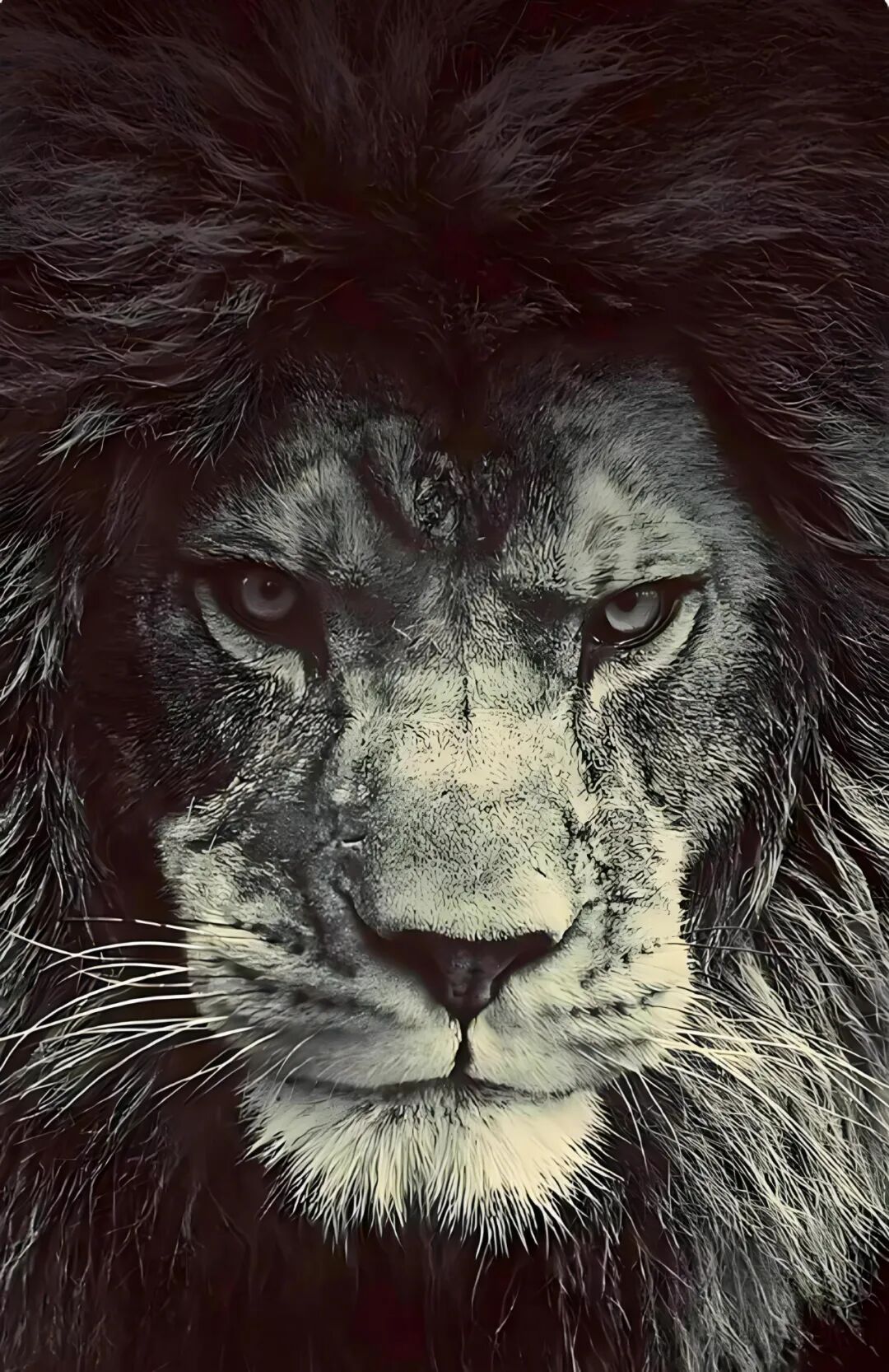 相人先看眼，袁天罡眼神相法精要！