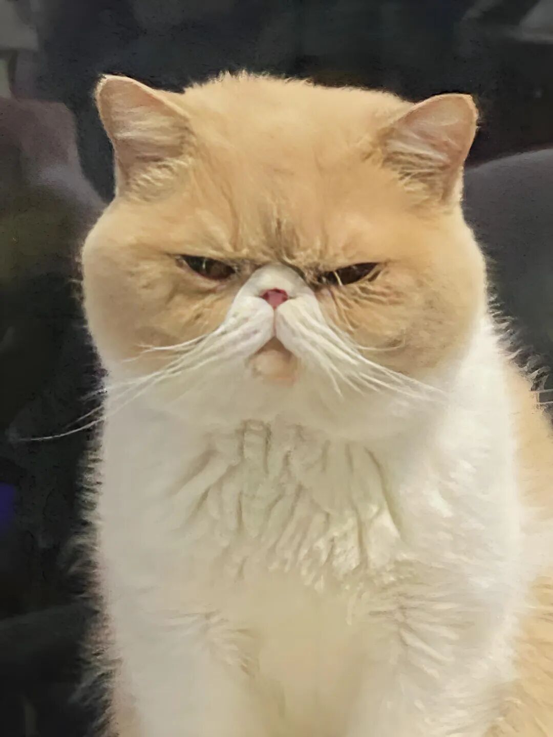 相人先看眼，袁天罡眼神相法精要！