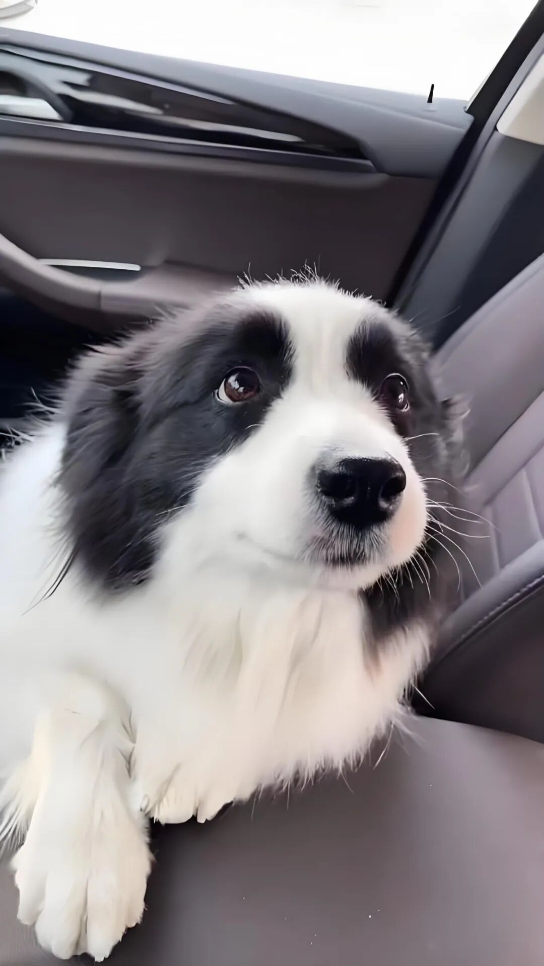 相人先看眼，袁天罡眼神相法精要！