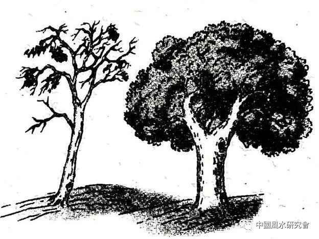 风水入行第一课：图文并茂，形象直观。