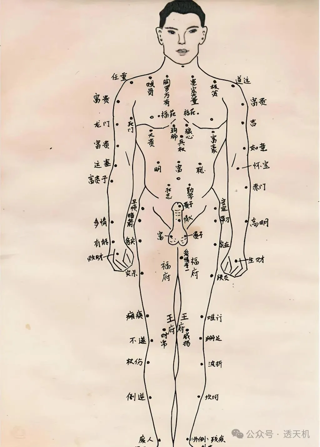 麻衣神相男人全身痣相图解