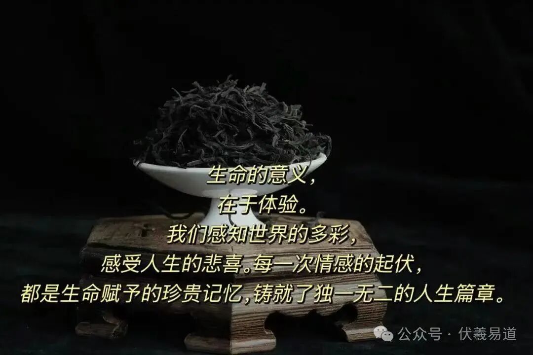 一位资深灵魂学研究者；告诉大家灵界的实相：灵界层级跟行善与否真的无关！